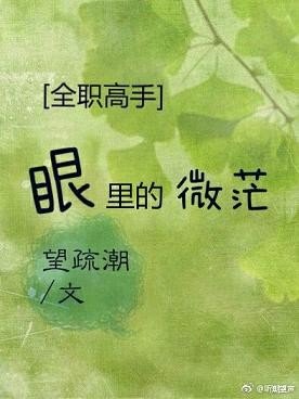 （BG/全職高手同人）[全職]眼裡的微茫