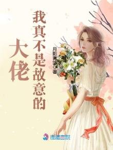 大佬我真不是故意的