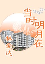 当时明月在