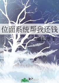 位面系统帮我还钱