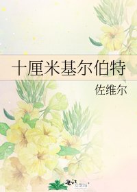 十厘米基尔伯特