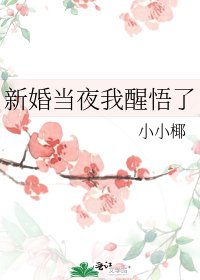 新婚当夜我醒悟了