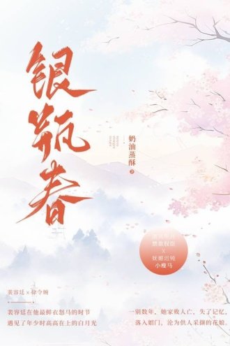银瓶春 
