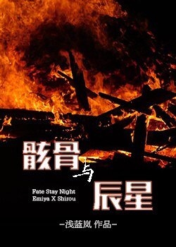 （BL/FSN弓士同人）[FSN弓士]骸骨与辰星